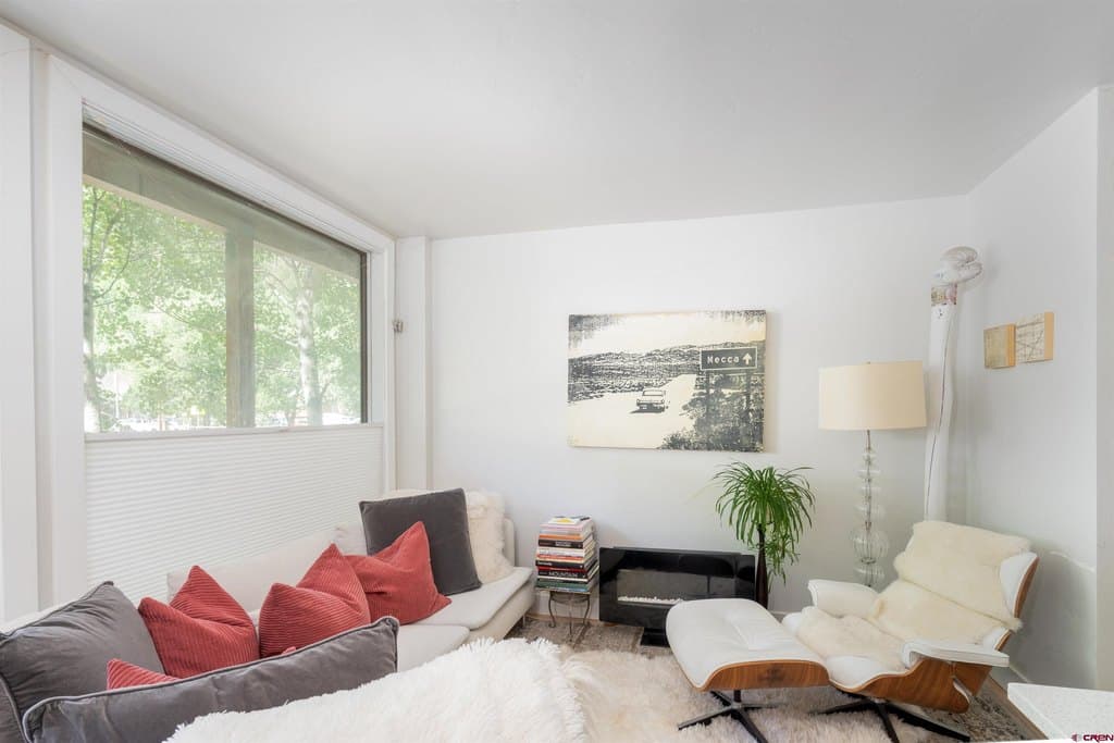 791 W Pacific Ave Unit 4H, Telluride