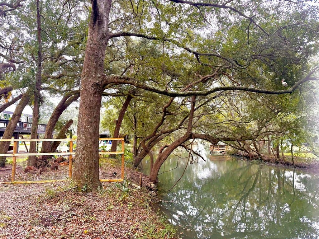 1578 Periwinkle Dr, Mount Pleasant