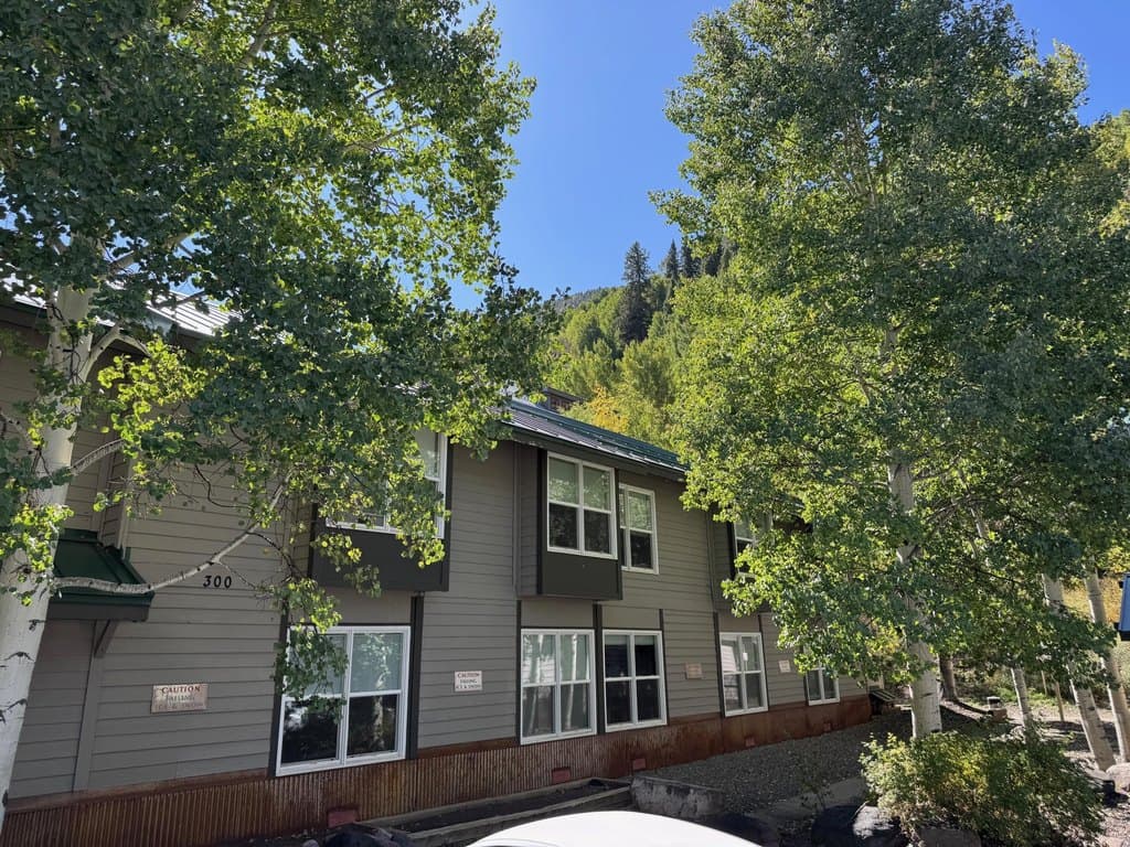 333 S Davis St Units 315 & 317, Telluride