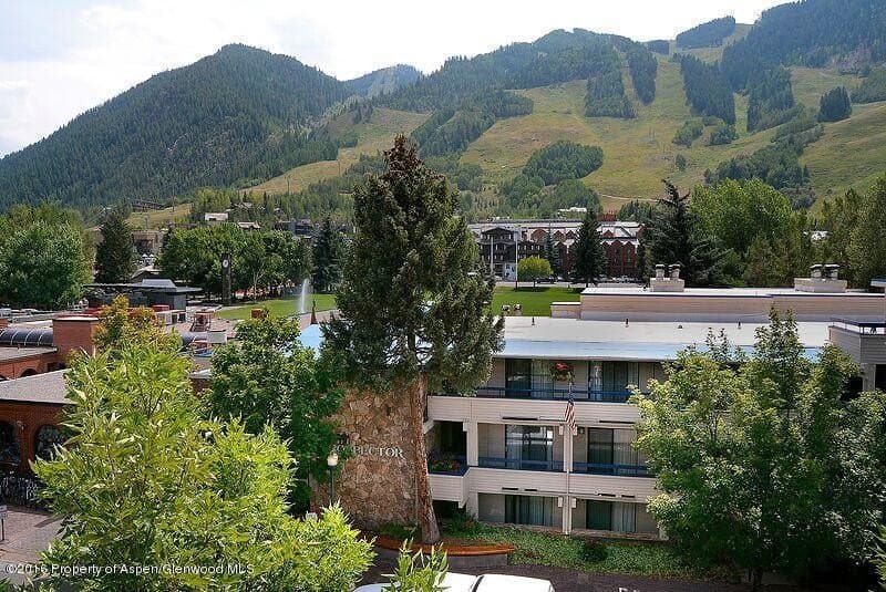 301 E Hyman Ave Unit 106, Aspen