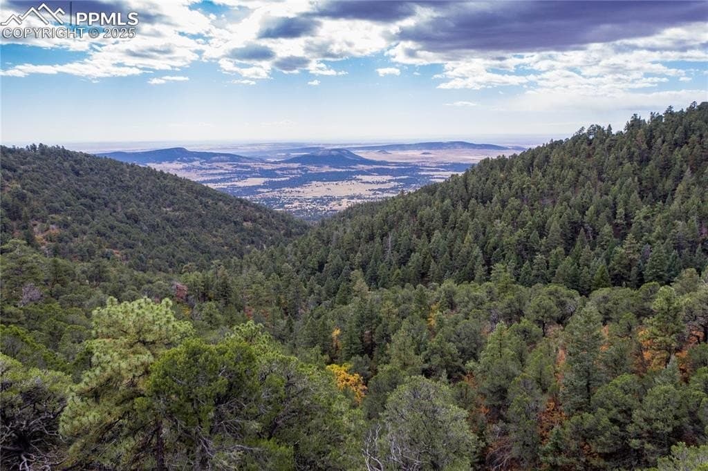 15825 Henry Ride Hts