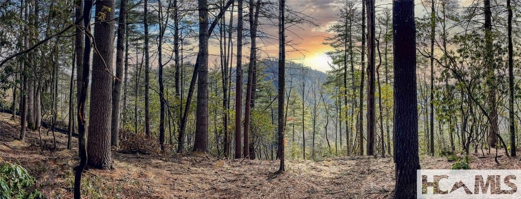 Saratay Falls Dr Lot 9, Cashiers