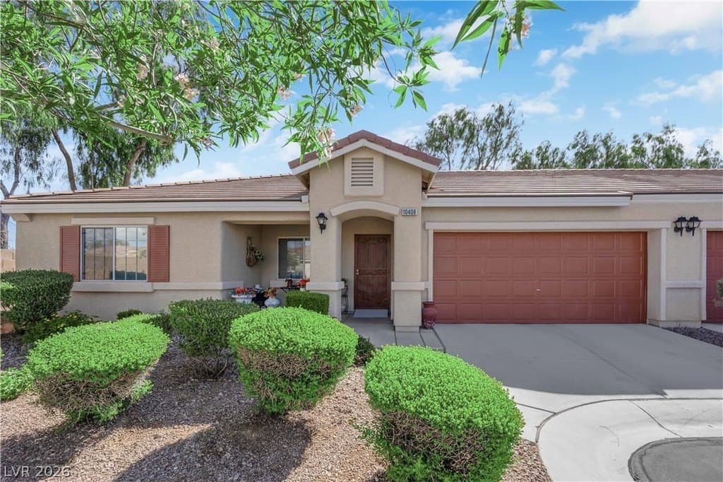 10408 Madagascar Palm St, Las Vegas