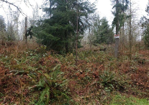 NE Union Hill Rd, Redmond