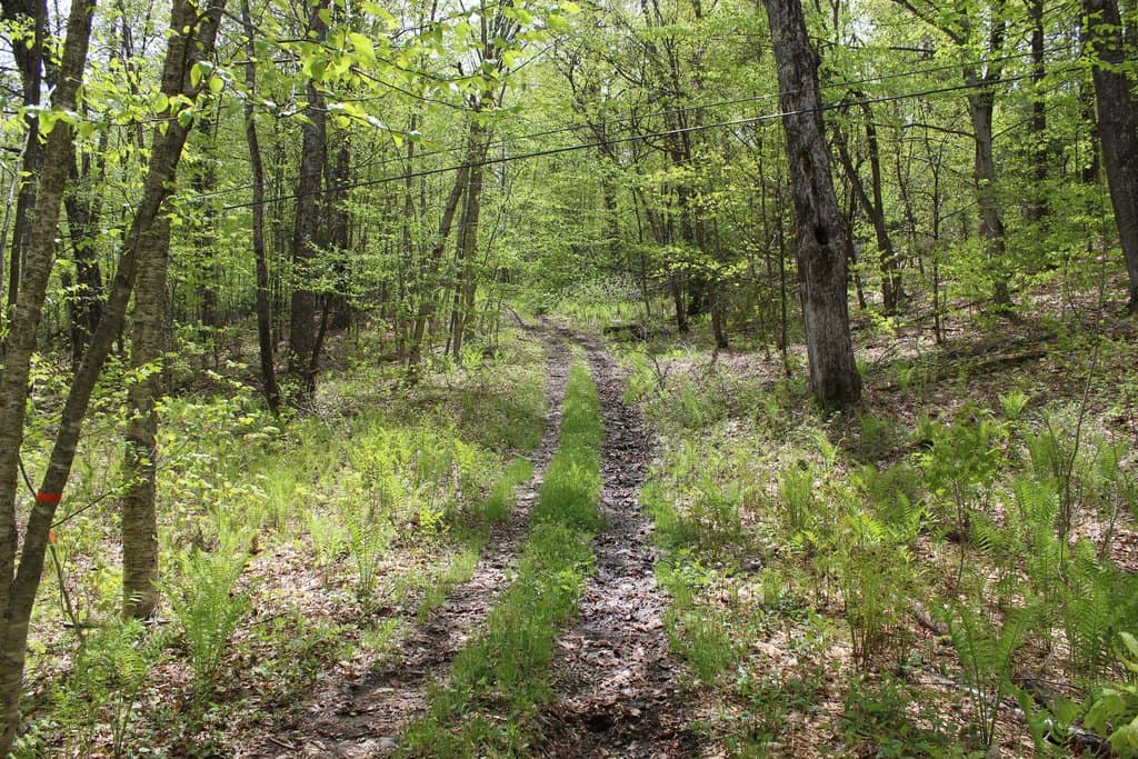 Long Hill Rd, Woodstock