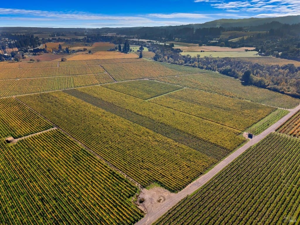 636 Dry Creek Rd, Healdsburg