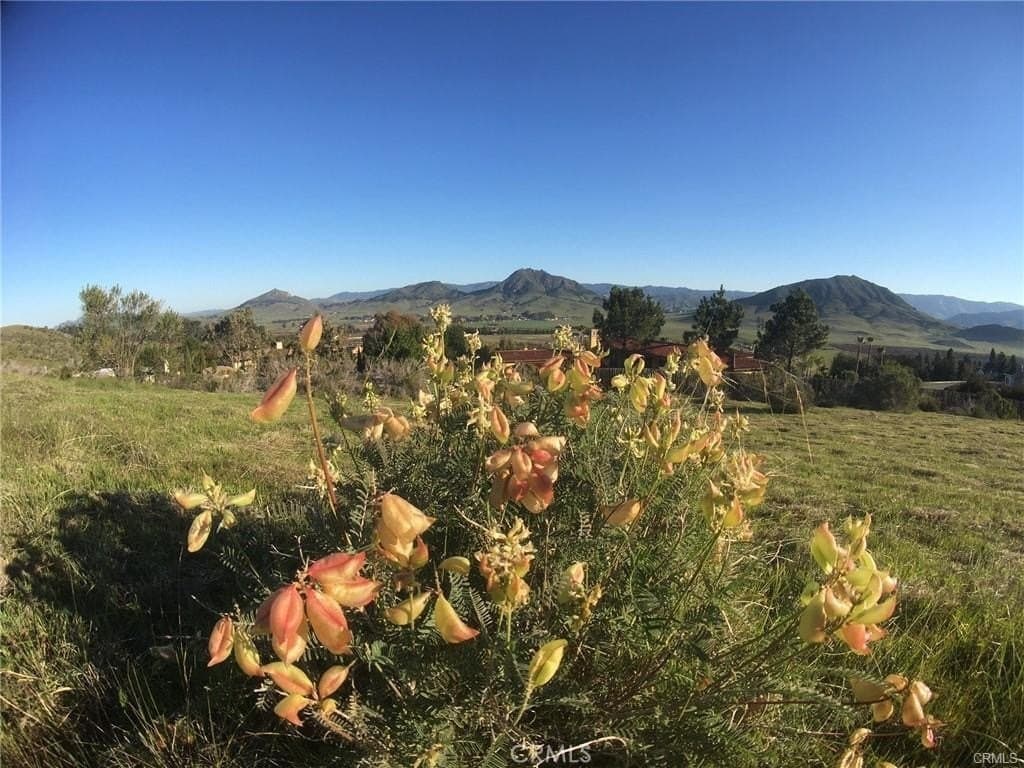 730 Via Laguna Vis, San Luis Obispo