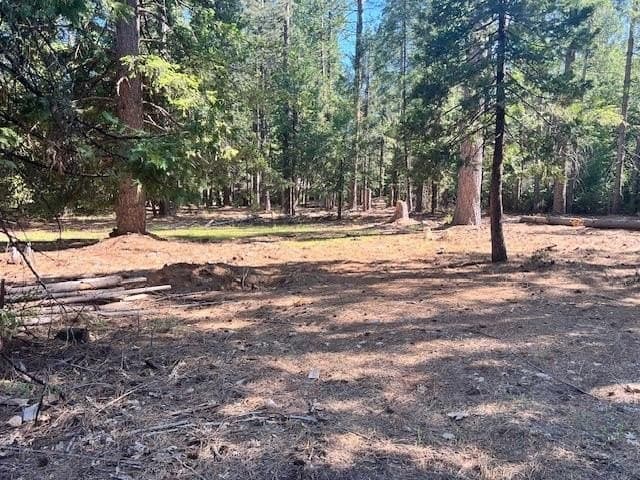 10434 Wentworth Springs Rd