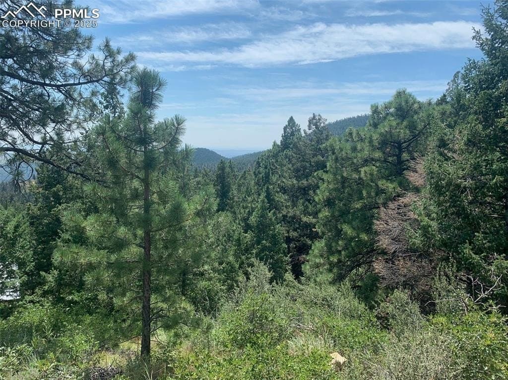 3435 Little Turkey Creek Rd