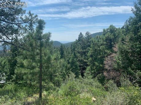 3435 Little Turkey Creek Rd