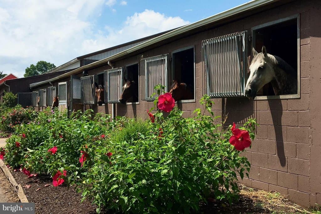 1015 Cherry Hill Rd, Princeton