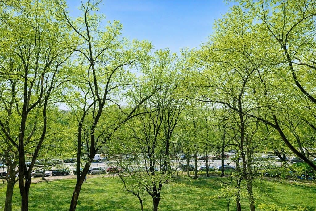 265 Riverside Dr Apt 4D, New York