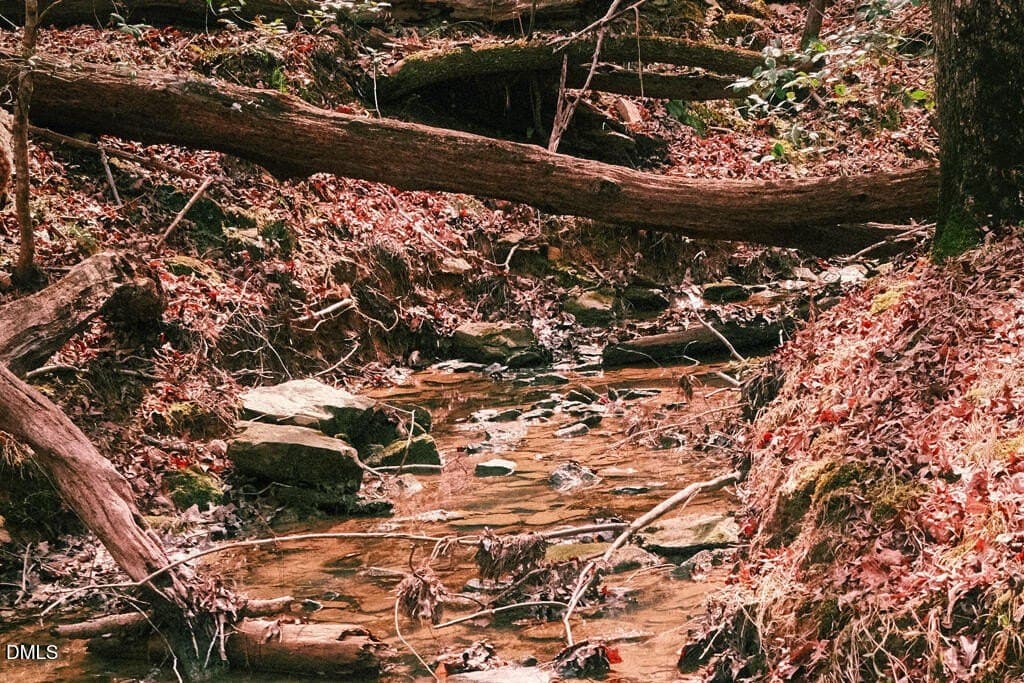 Ferguson Rd, Chapel Hill