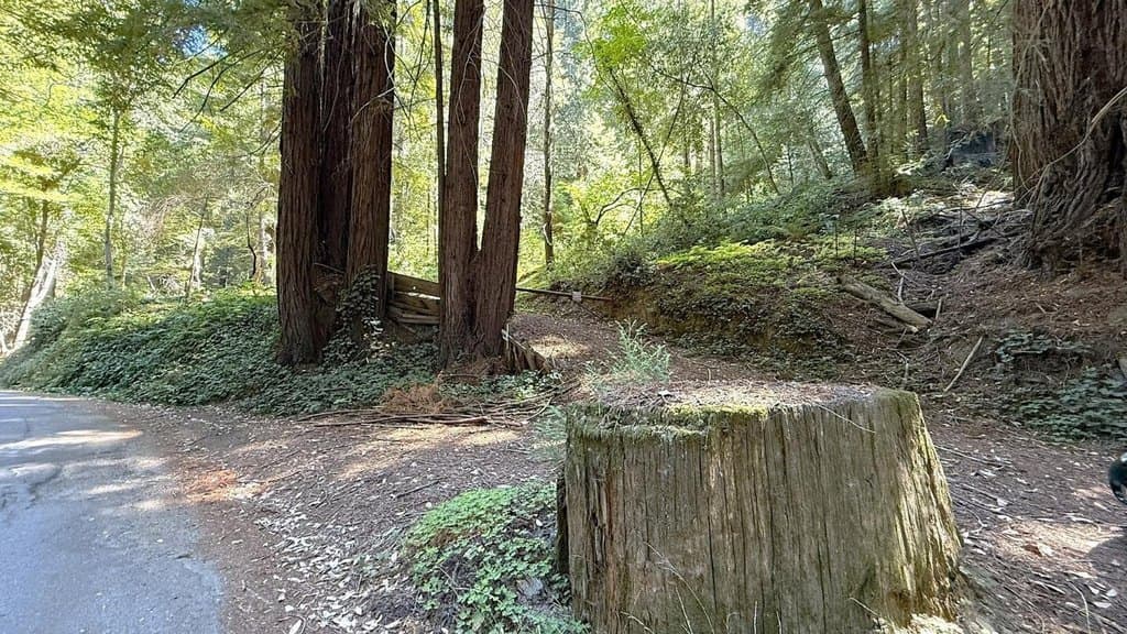 15645 Stetson Rd, Los Gatos