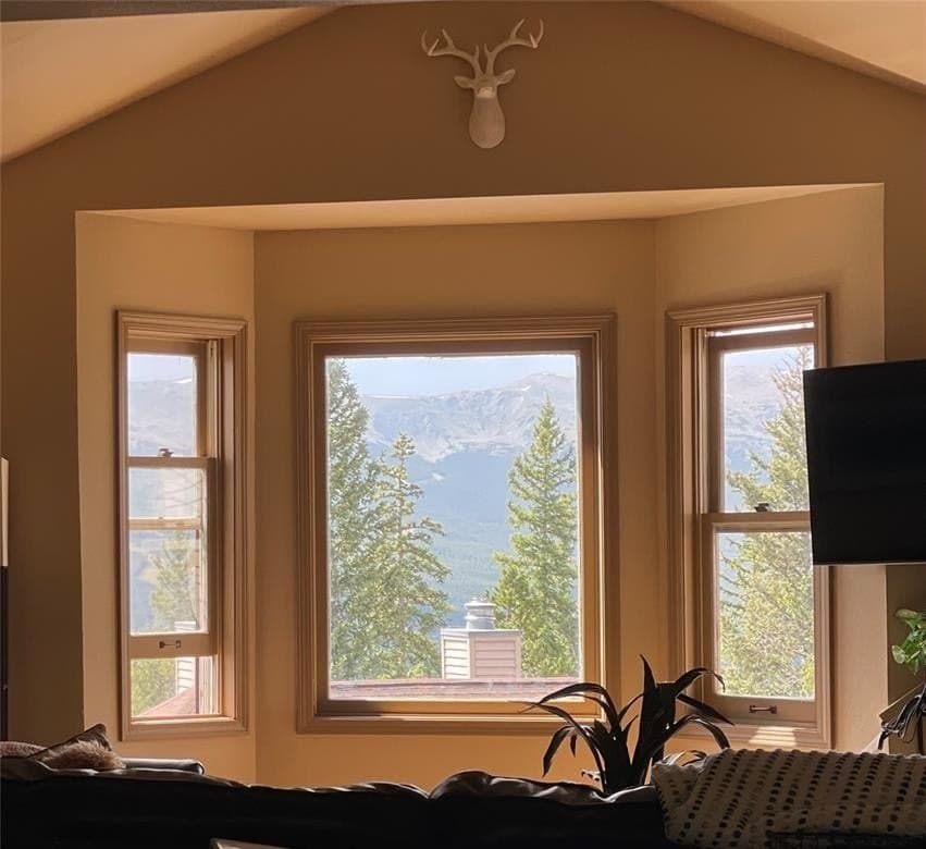 1120 Baldy Rd Unit 1120, Breckenridge