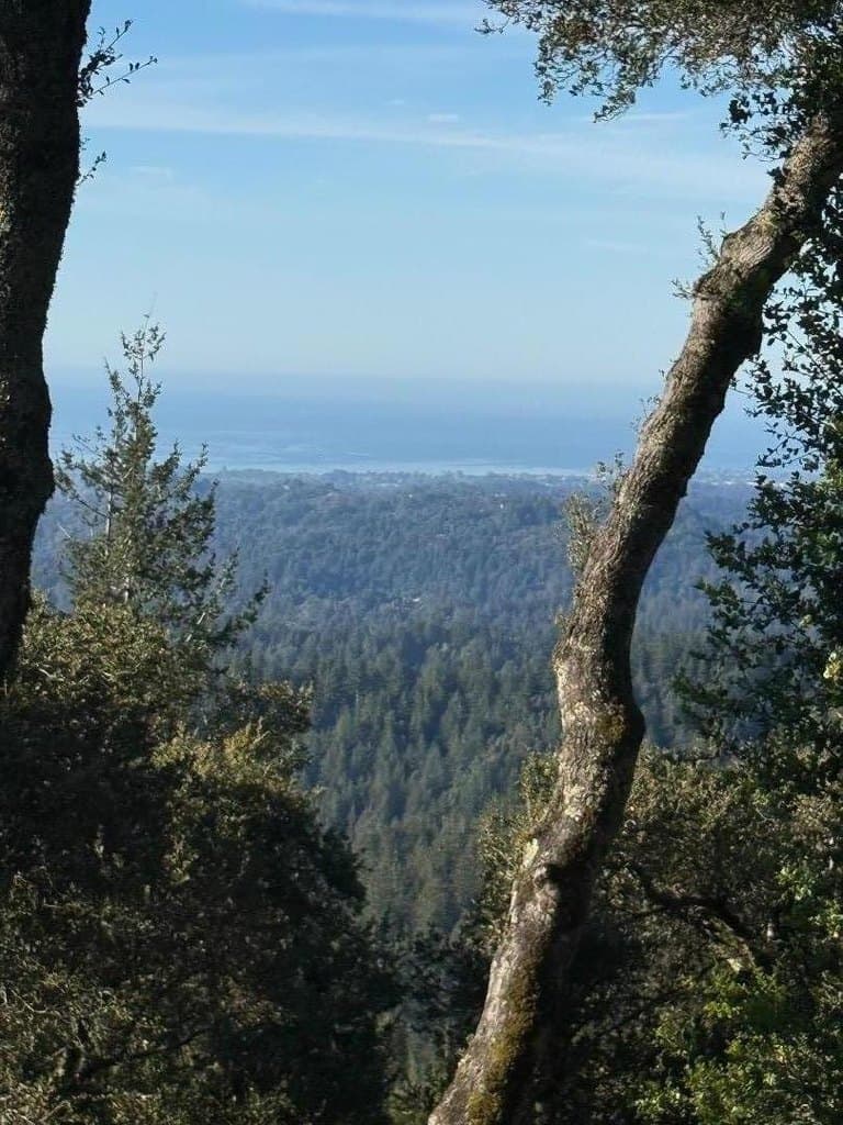 24854 Skyland Rd, Los Gatos