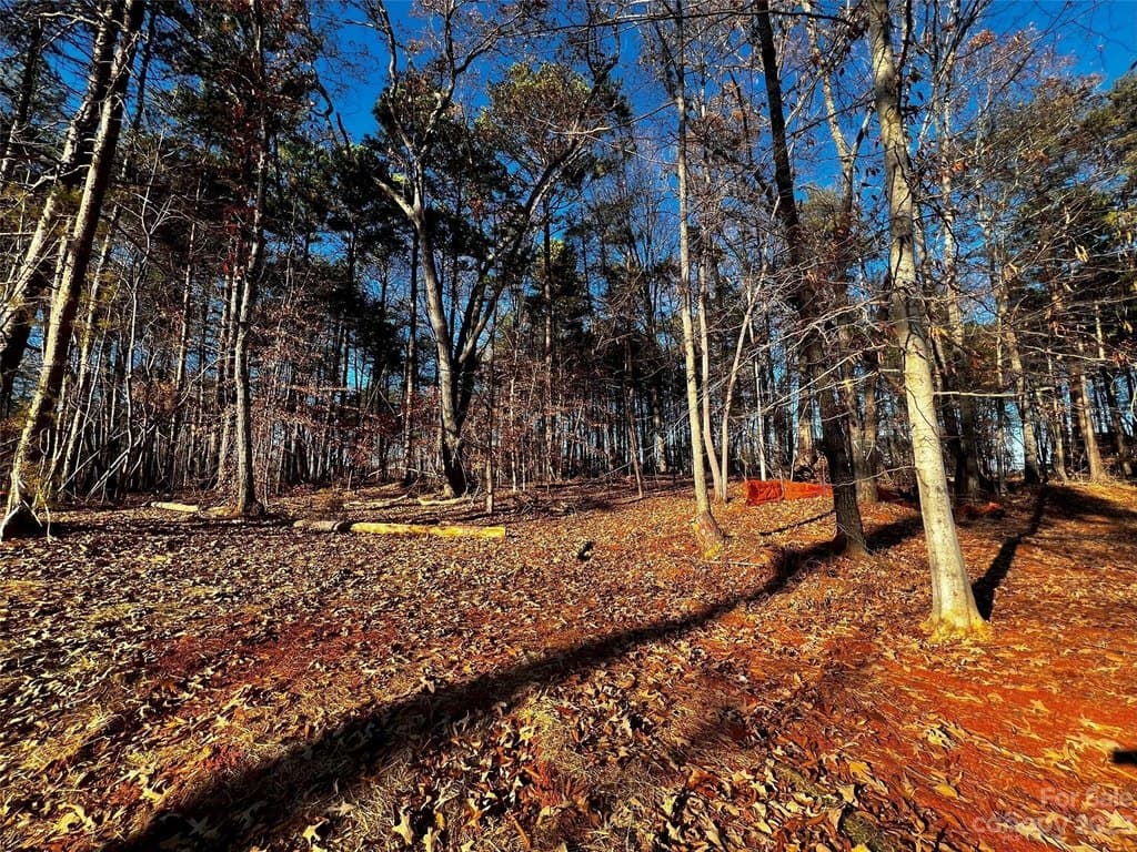 123 Hunt Camp Trl Unit 17, Davidson