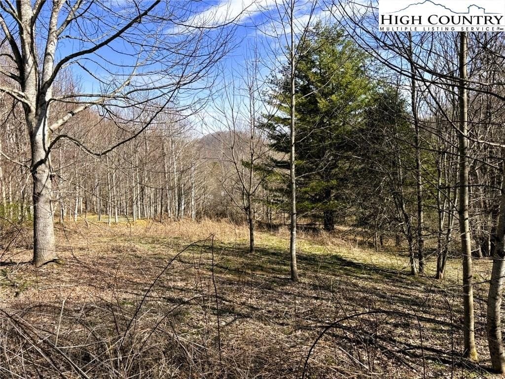 Larkspur Trl Lot 3, Banner Elk