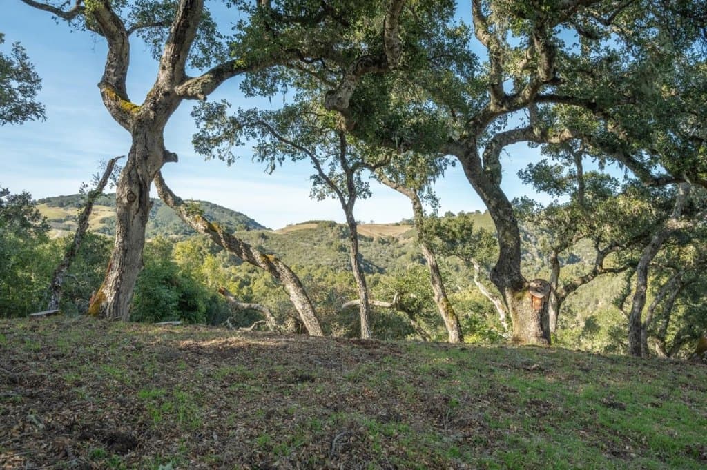5 Vasquez Trl Lot 170, Carmel Valley