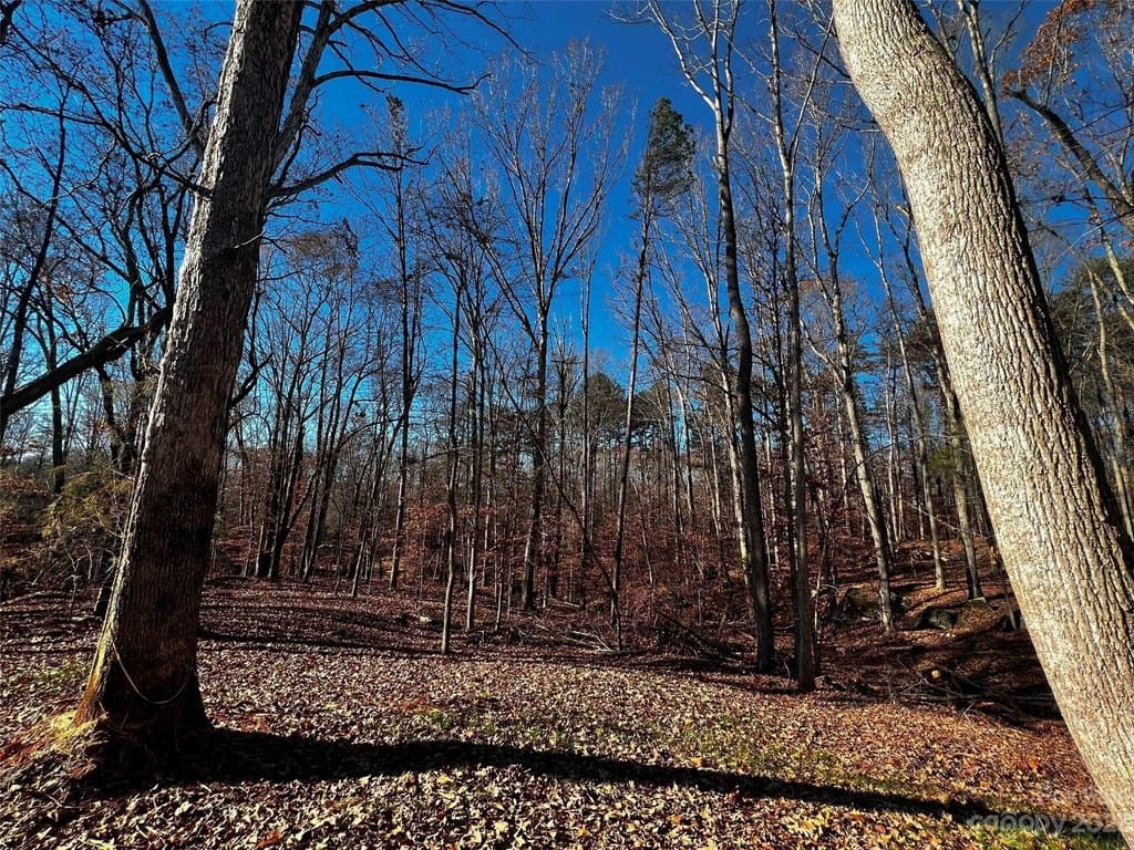 146 Copper Pine Ln Unit 3, Davidson