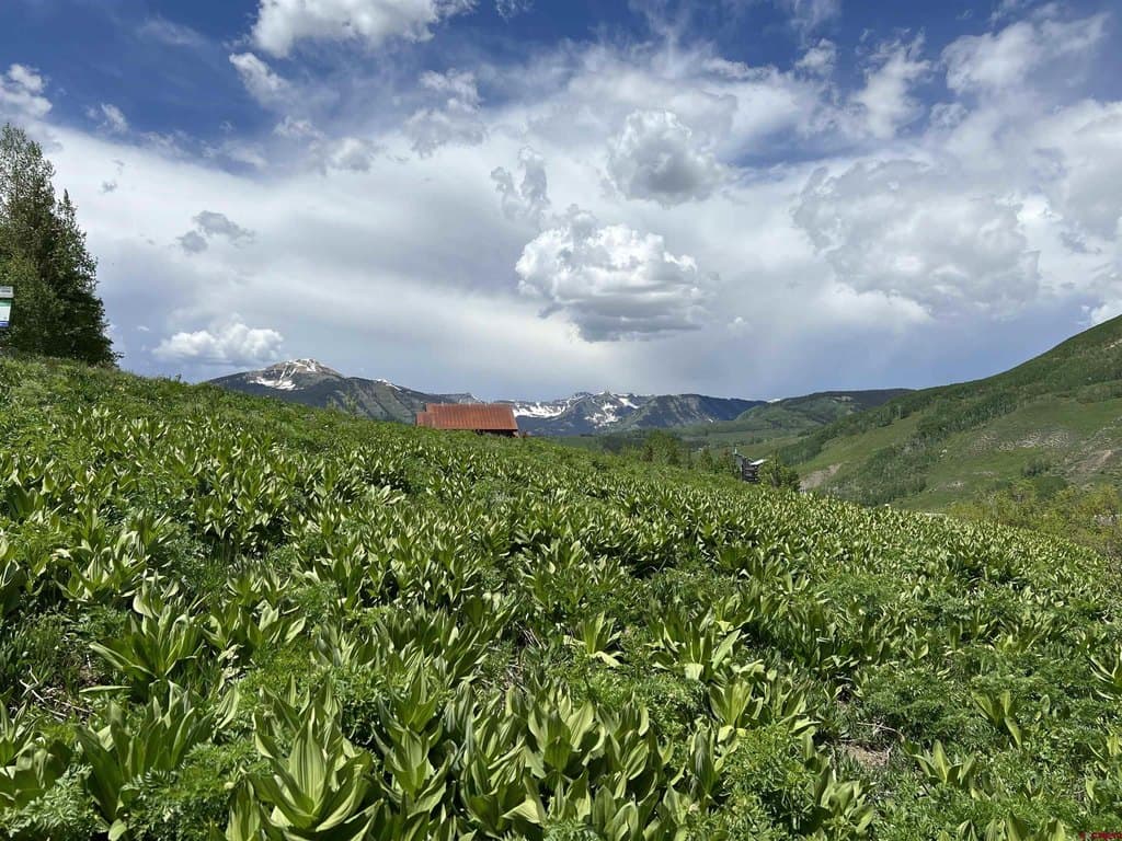 18 Cinnamon Mountain Rd, Crested Butte