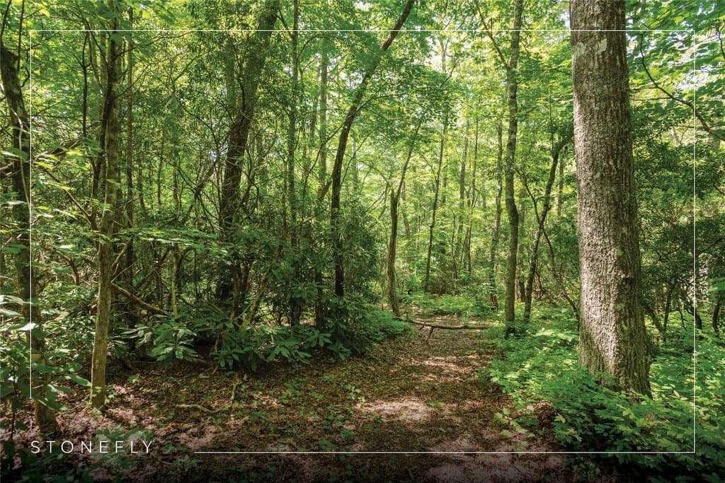 Streamside Dr Lot 14, Cashiers