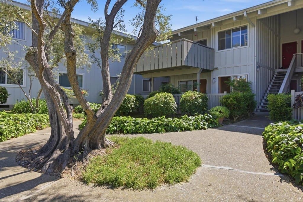 255 S Rengstorff Ave Apt 7, Mountain View