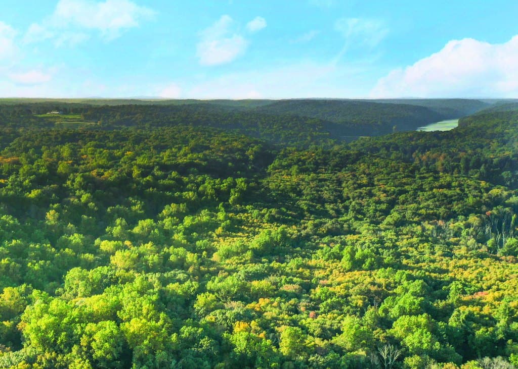 June Rd Lot 1, Stamford