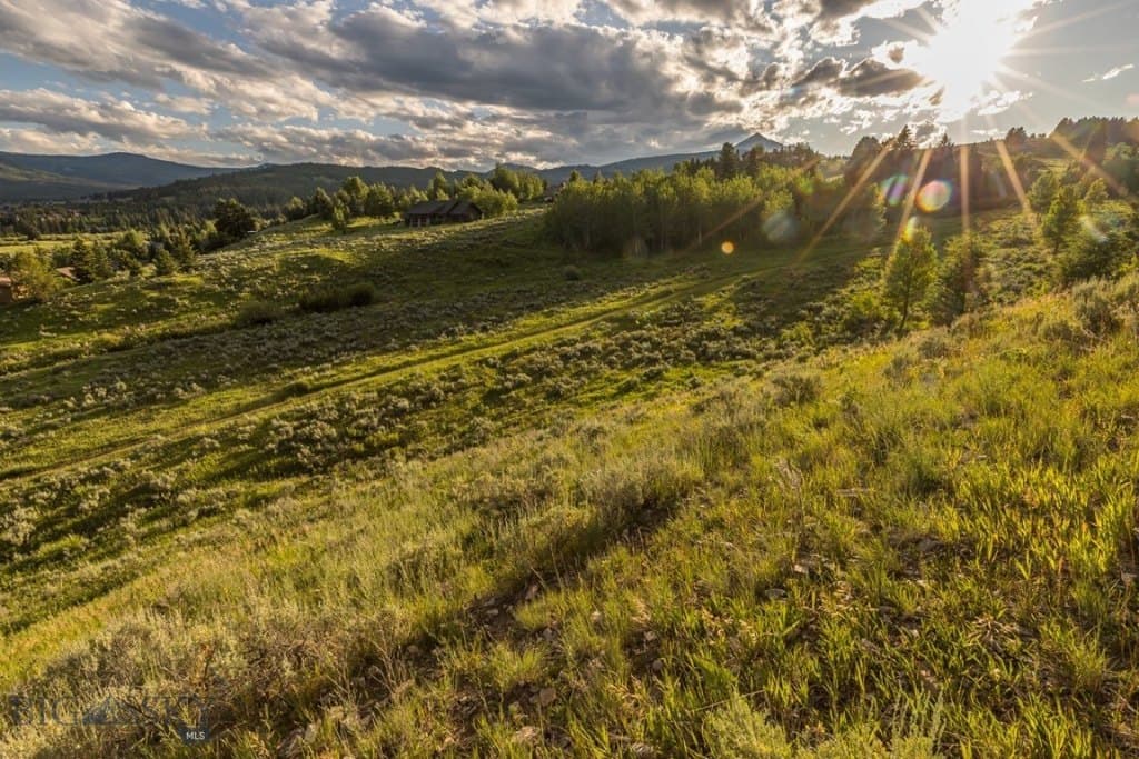 Little Coyote, Big Sky