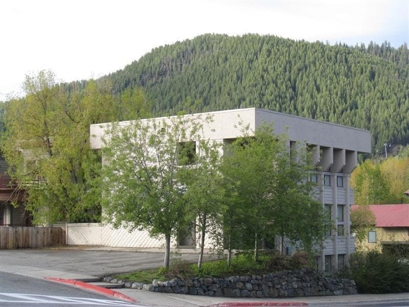 291 N 2nd Ave N Unit 3, Ketchum