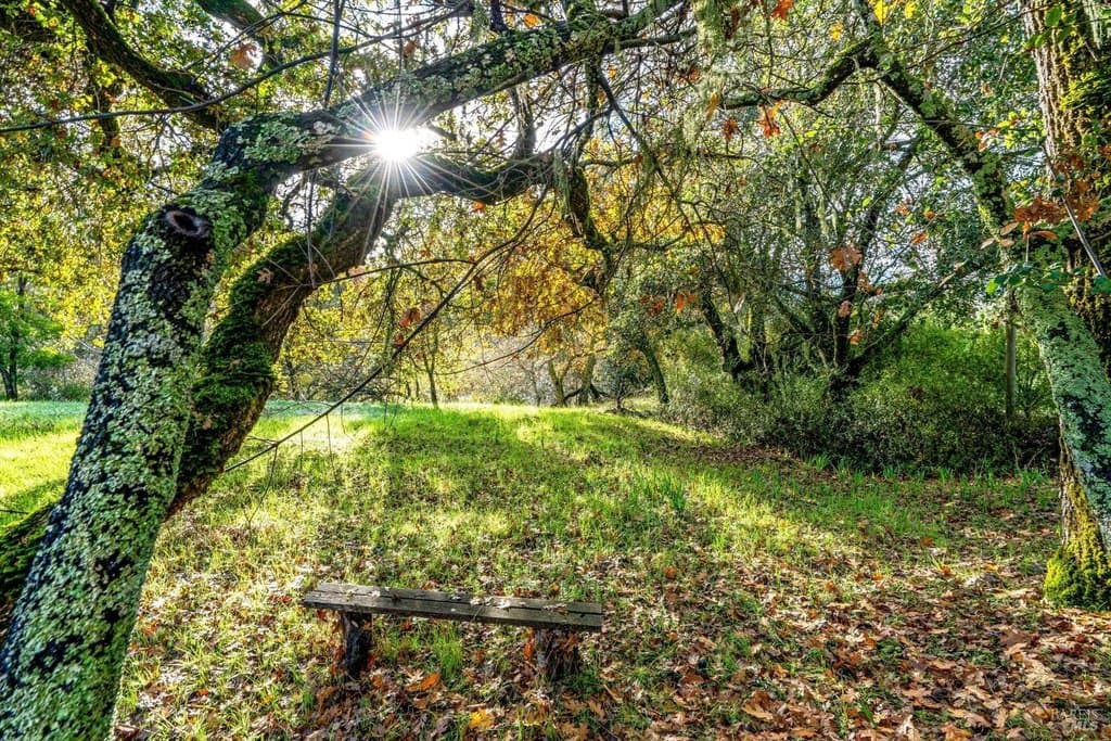 1055 Heaven Hill Rd, Sonoma