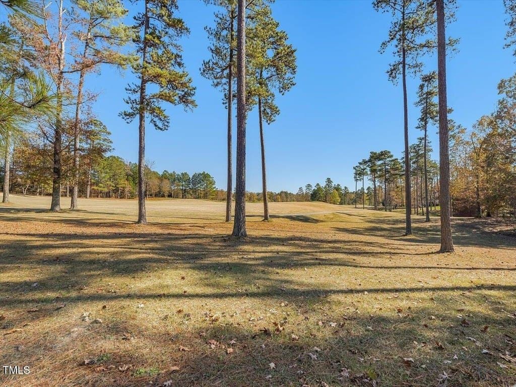 642 The Preserve Trl, Chapel Hill