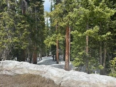 584 Camron Ln, Breckenridge