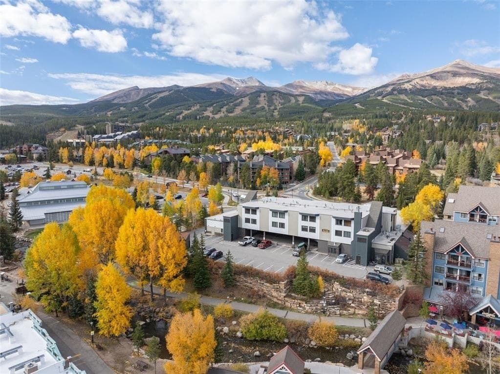 110 S Park Ave Unit 128, Breckenridge
