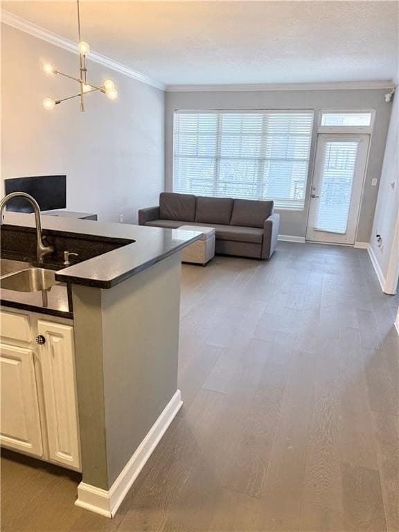 1101 Juniper St NE Apt 525