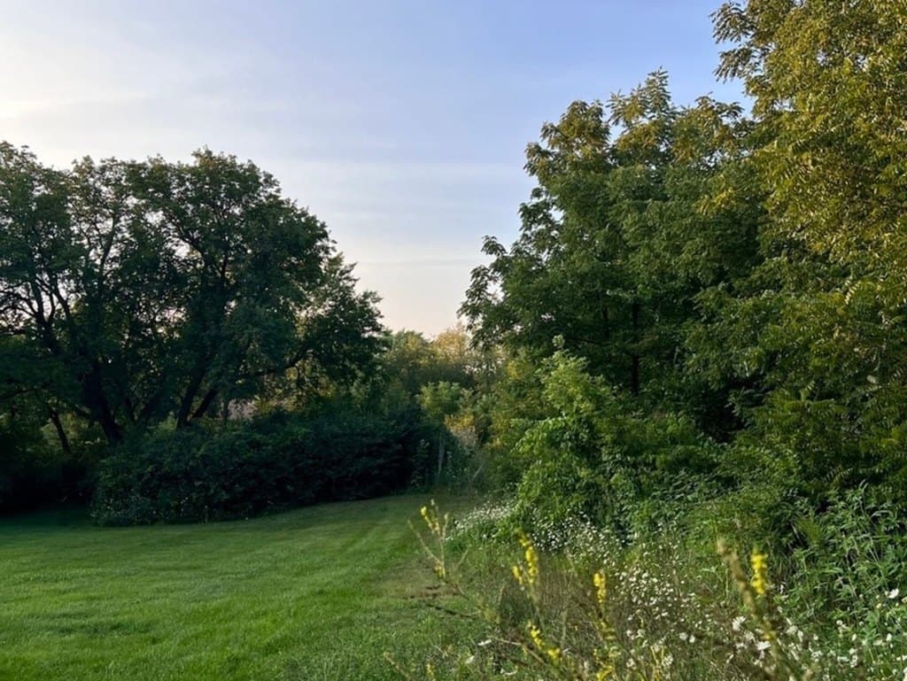 650 George St, Barrington