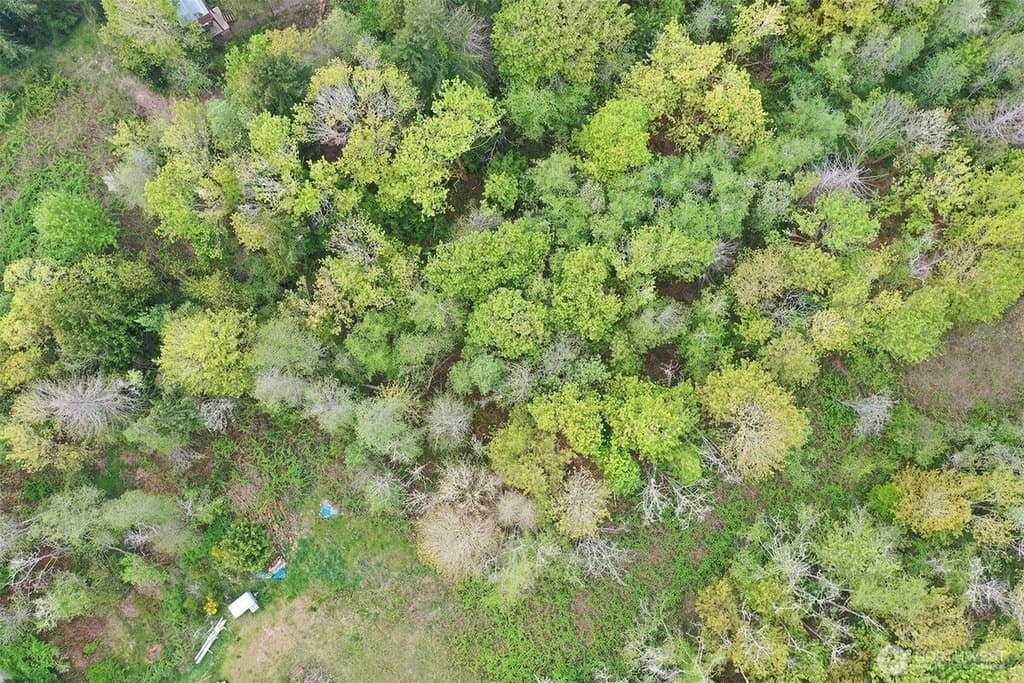 Mardell Ct Lot 10, Bainbridge Island