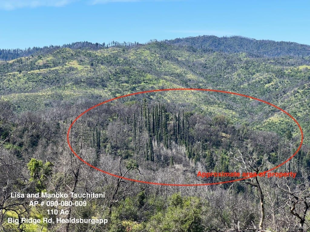 Big Ridge Rd, Healdsburg