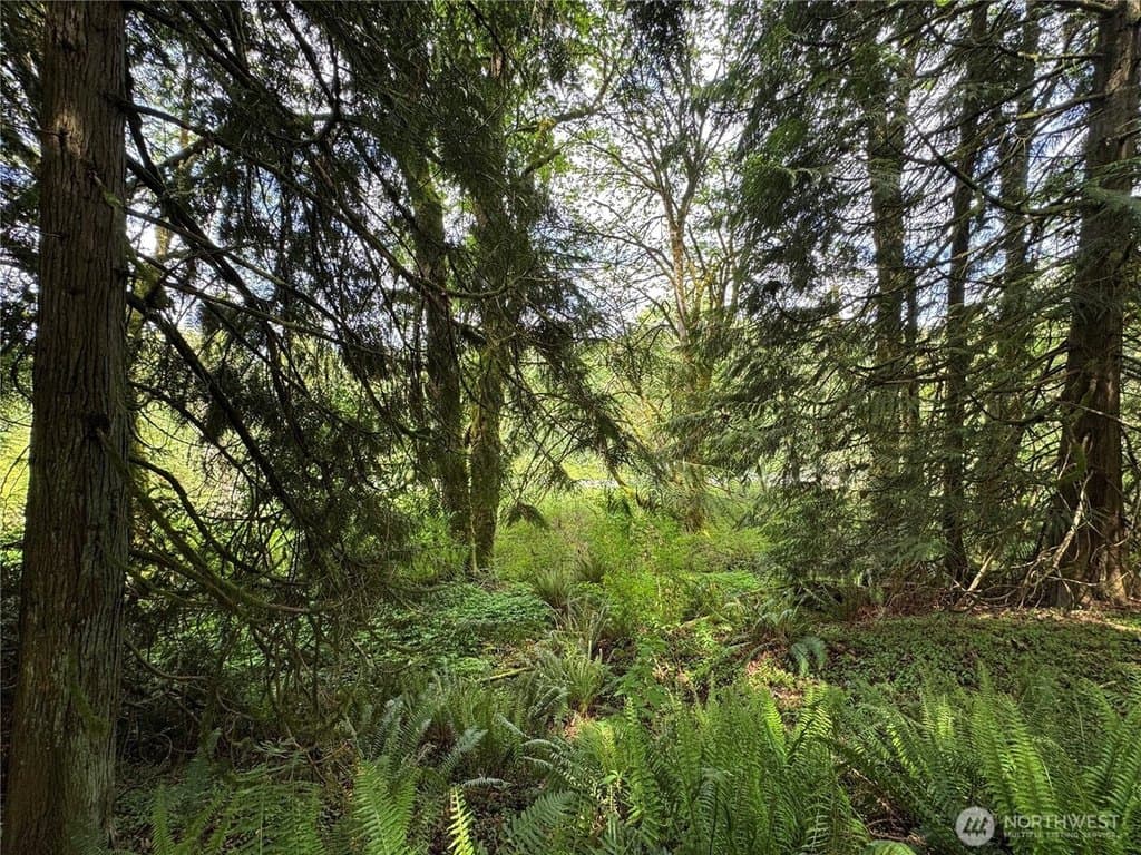 16113 NE 124th St, Redmond