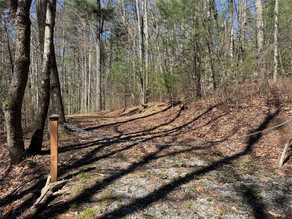 Bear Log Rd Lot 1, Cashiers