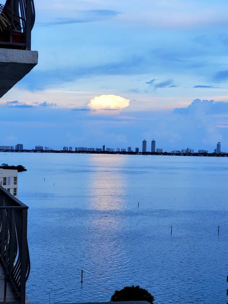 780 NE 69th St Apt 1707