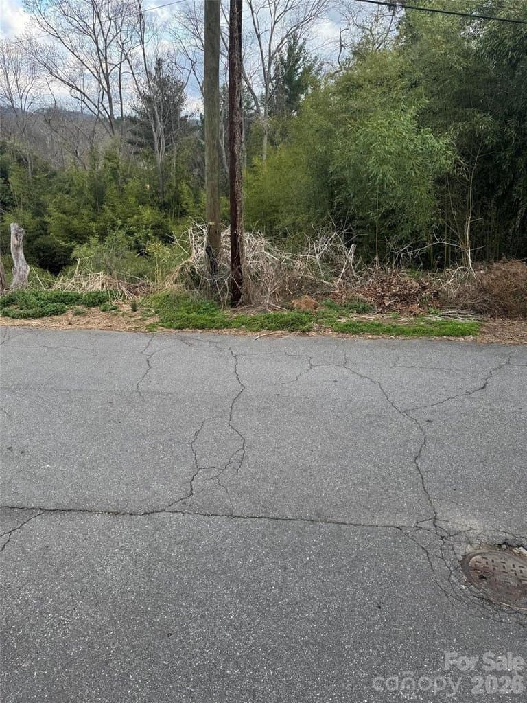 38 Belleair Rd, Asheville