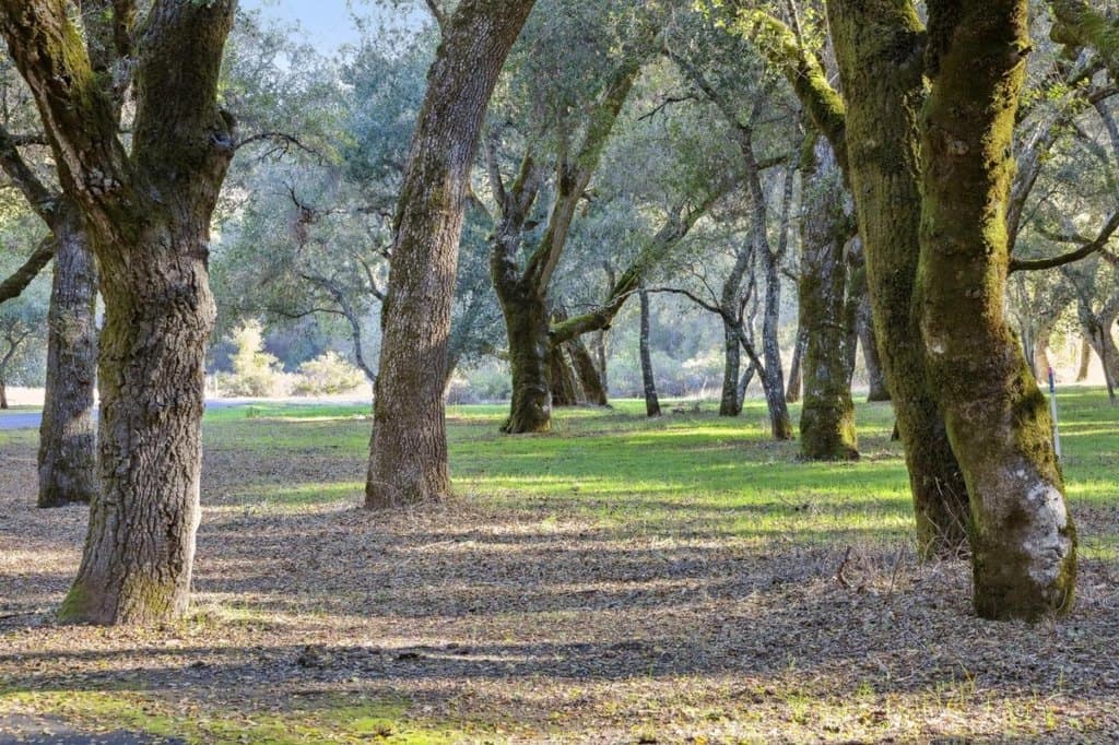 11 Arroyo Sequoia, Carmel Valley