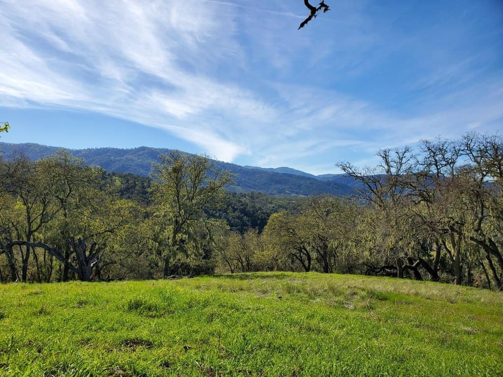 Cachagua Rd, Carmel Valley