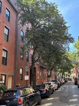 59 West Cedar St Apt 6