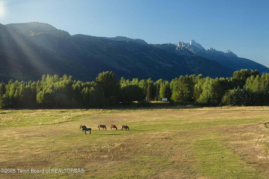 4585 W Highway 22, Wilson