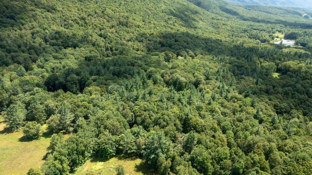 Havoc Hill Rd, Dorset