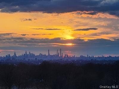 27010 Grand Central Pkwy Apt 22S