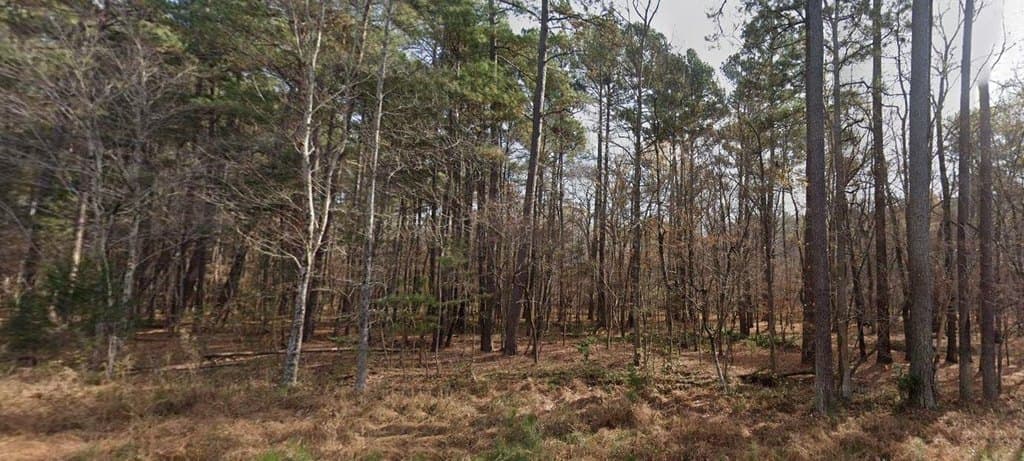 8430 Orange Grove Rd, Chapel Hill