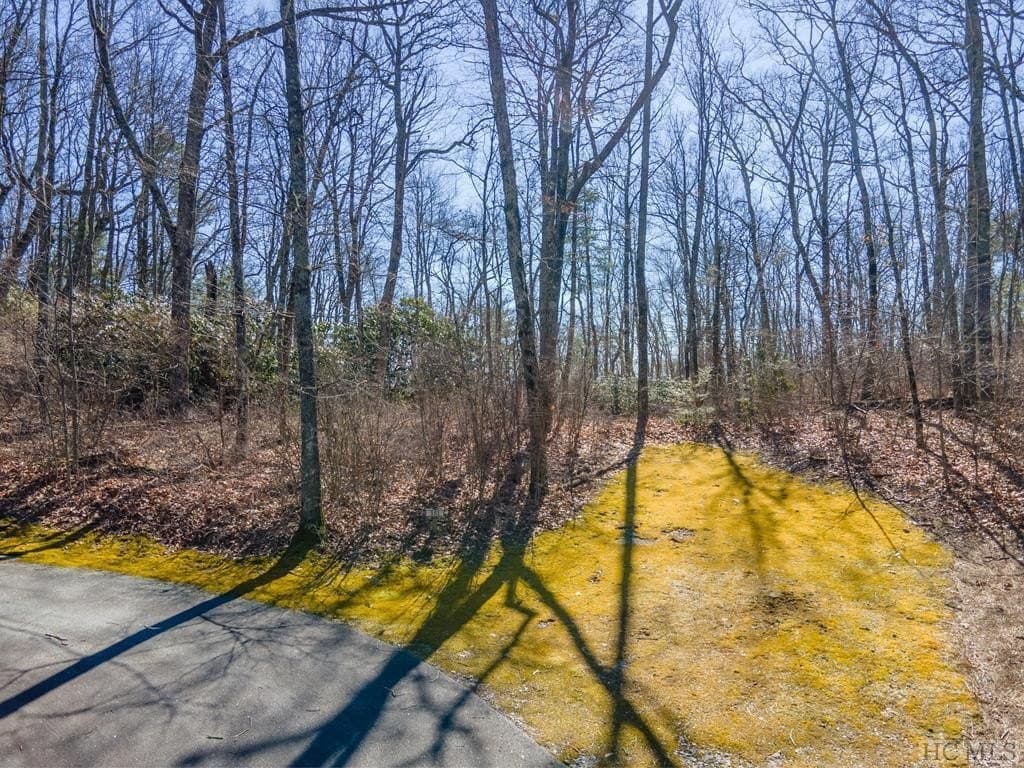 151 Hilldale Ln Lot 151, Highlands